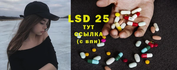 PSILOCYBIN Белокуриха